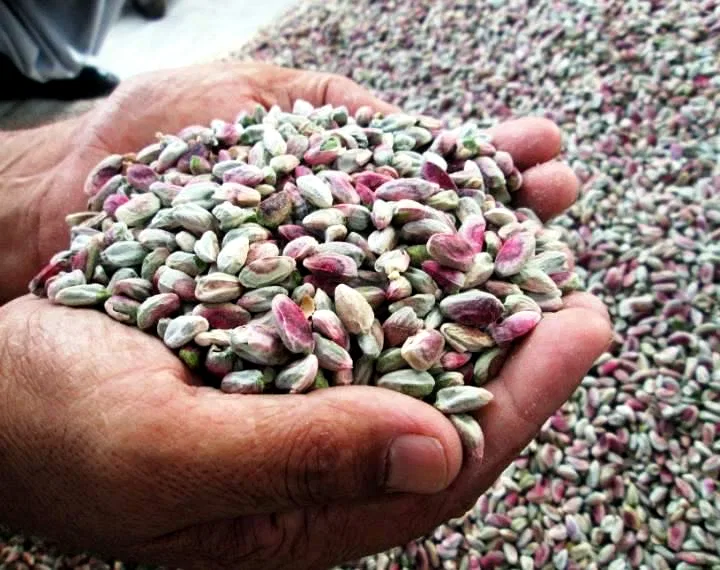 Pistachios — image 2